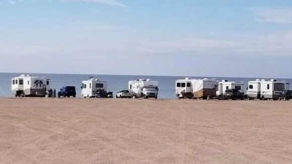 Turisteros esperan la llegada de ‘pájaros de la nieve’ en San Carlos
