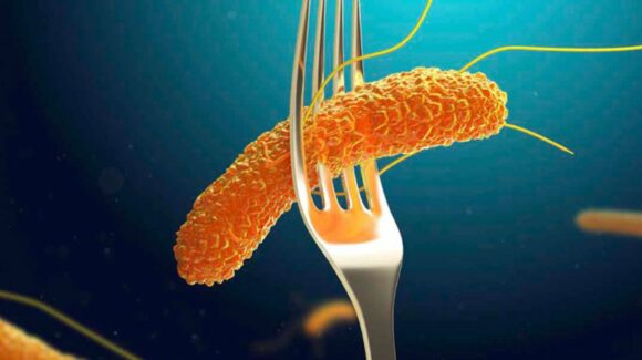 Salmonella afecta a 135 médicos del Hospital General de México; 41 permanecen hospitalizados