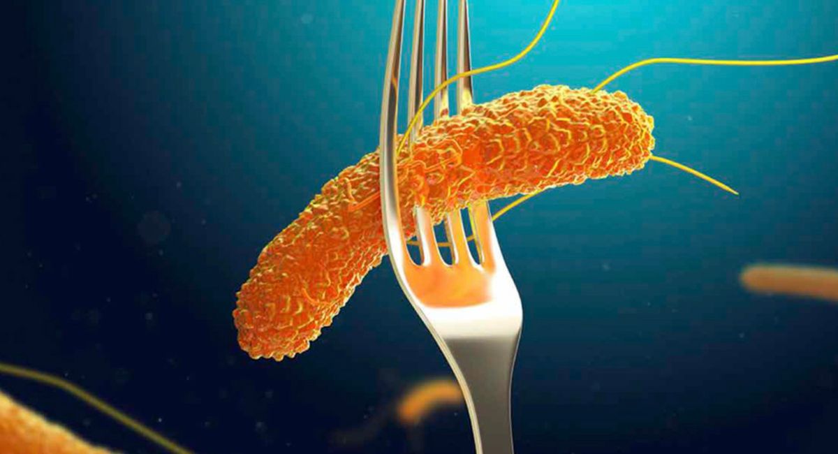 Hospital General de México confirma brote de Salmonella entre médicos residentes
