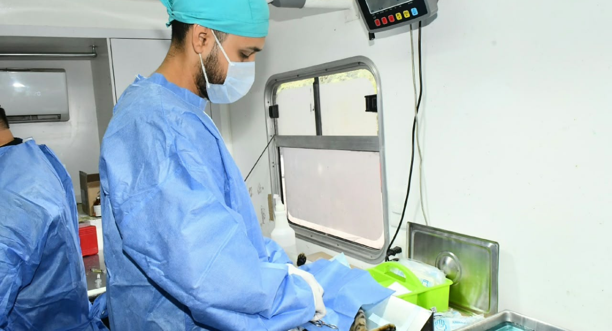 ¡Aprovecha! Gobierno de Hermosillo anuncia calendario de esterilizaciones del 26 al 31 de octubre