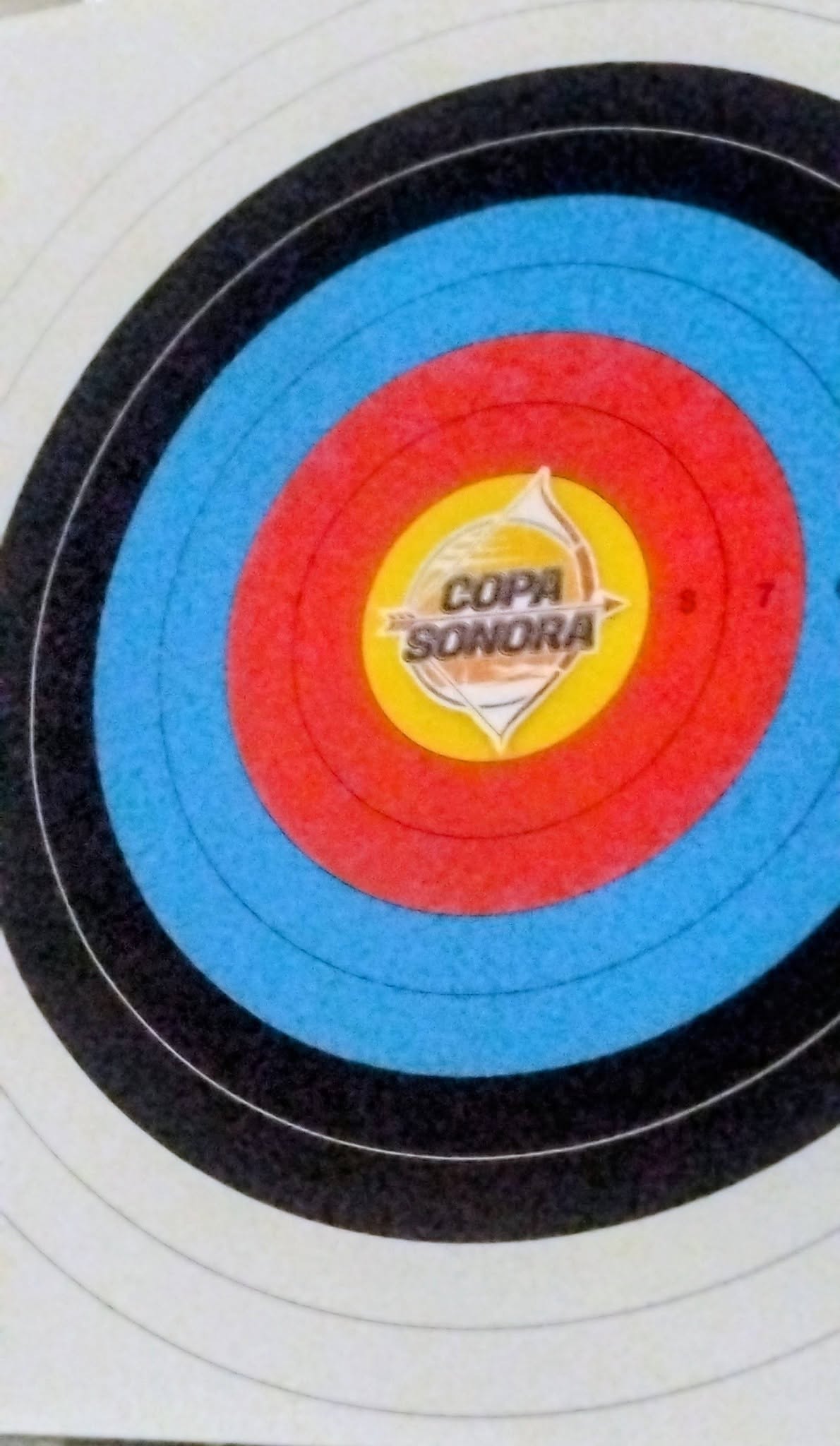 Copa Sonora de Tiro con Arco