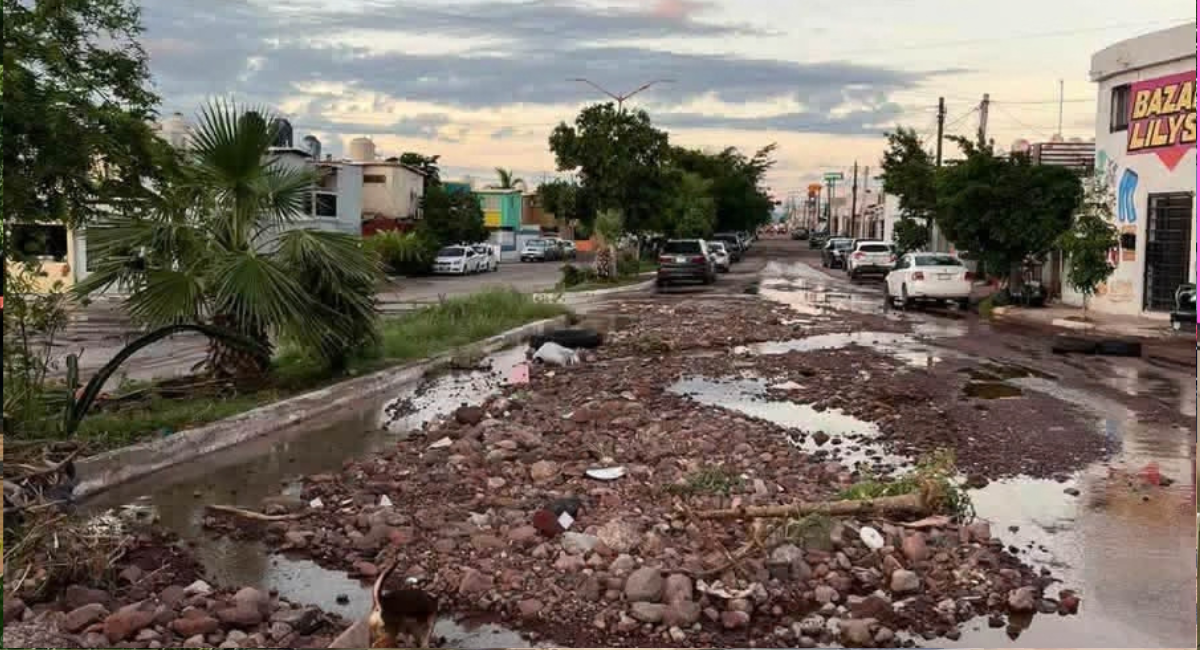 Analizan daños de Polo en viviendas para llevar apoyo a las familias damnificadas