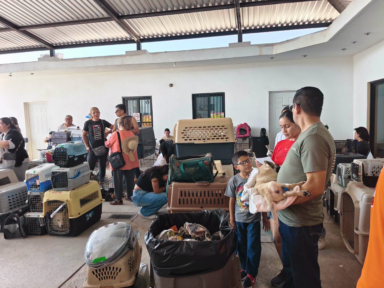 Animalistas de Empalme refuerzan esterilizaciones para frenar la sobrepoblación de perros y gatos