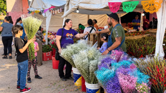 Aumenta hasta 80% el precio de la flor para el Día de Muertos