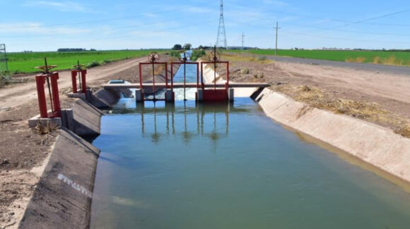 Autorizan 60 mil hectáreas de trigo para el ciclo agrícola 2026-2027 en el Valle del Yaqui