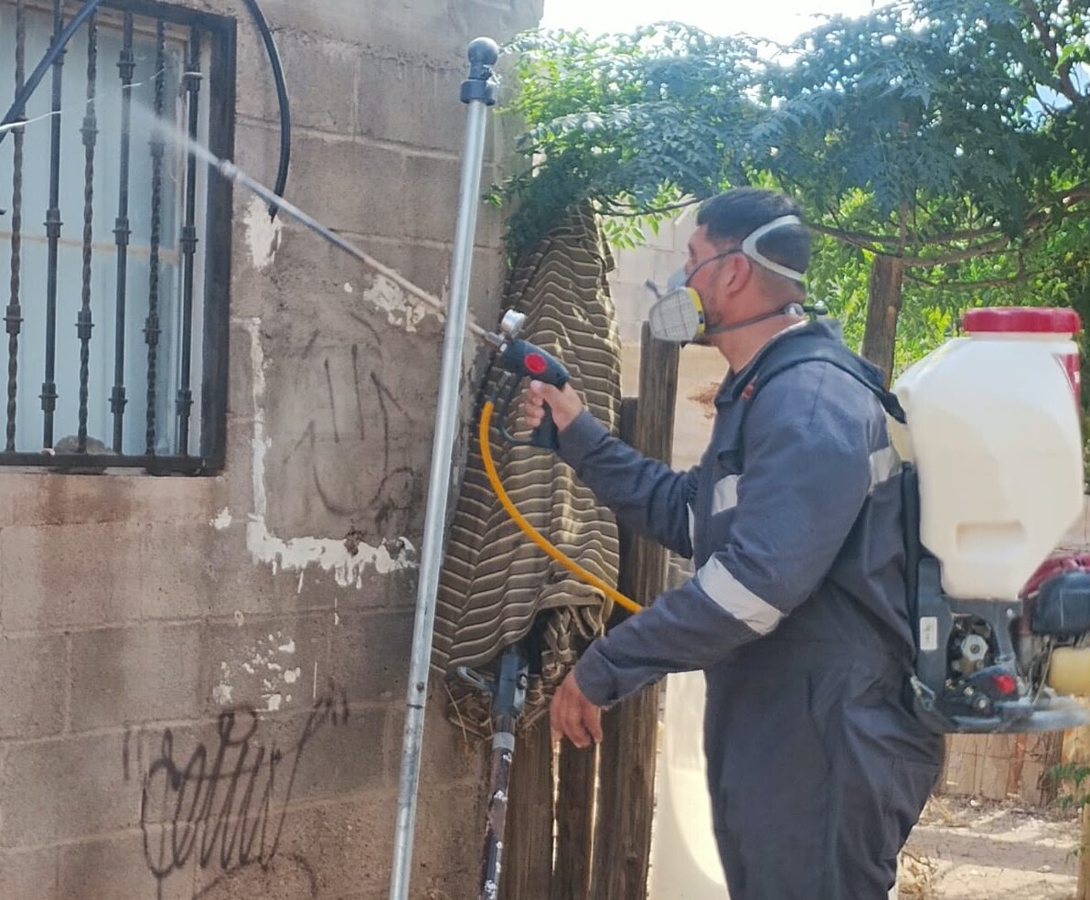 Caborca refuerza acciones clave para prevenir y combatir el dengue