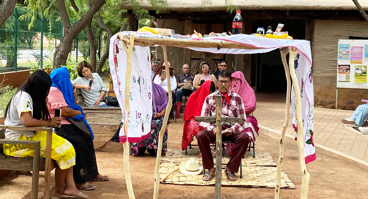 Celebran en Cócorit el recibimiento de las ánimas con rituales y tradiciones de la etnia yaqui