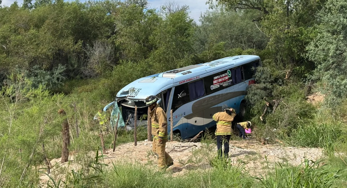 Choque de autobús en Altar-Santa Ana moviliza a emergencias; pasajeros sufren picaduras de abejas