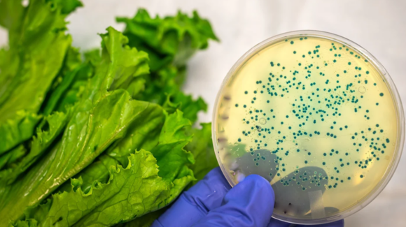 Cofepris concluye investigaciones sobre Salmonella y Cyclospora; no señala a productos mexicanos como origen de brotes