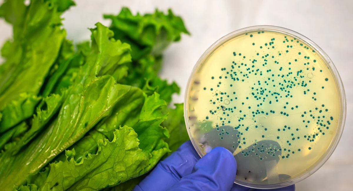 Cofepris concluye investigaciones sobre Salmonella y Cyclospora; no señala a productos mexicanos como origen de brotes