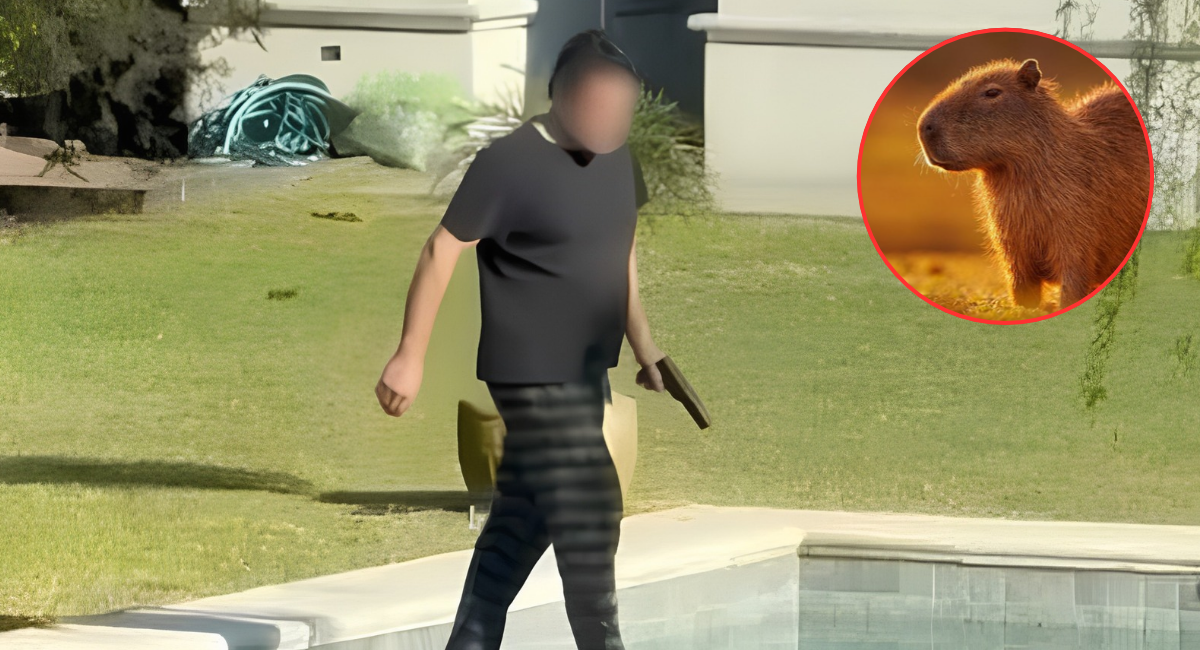 Crueldad en Argentina: Detienen a un hombre tras atacar a balazos a un grupo de capibaras