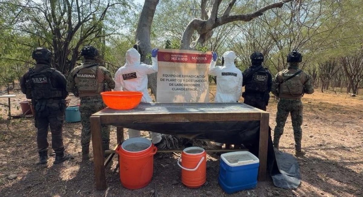 Desmantelan laboratorio clandestino de metanfetamina en Los Brasiles, Sinaloa