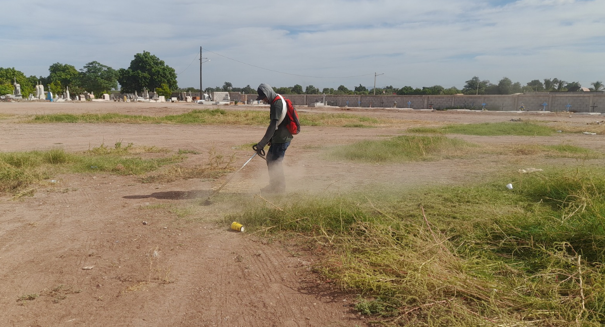 Día de Muertos: Salud Cajeme llama a evitar criaderos de mosquitos durante visitas a panteones