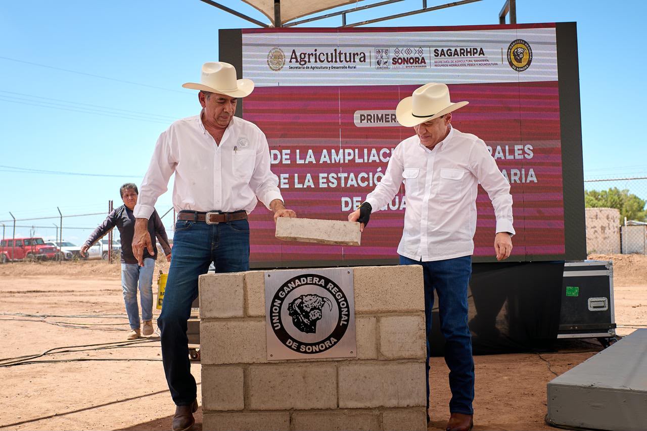 Durazo busca duplicar exportación de ganado en Sonora pasarán de mil 300 a 3 mil cabezas diarias
