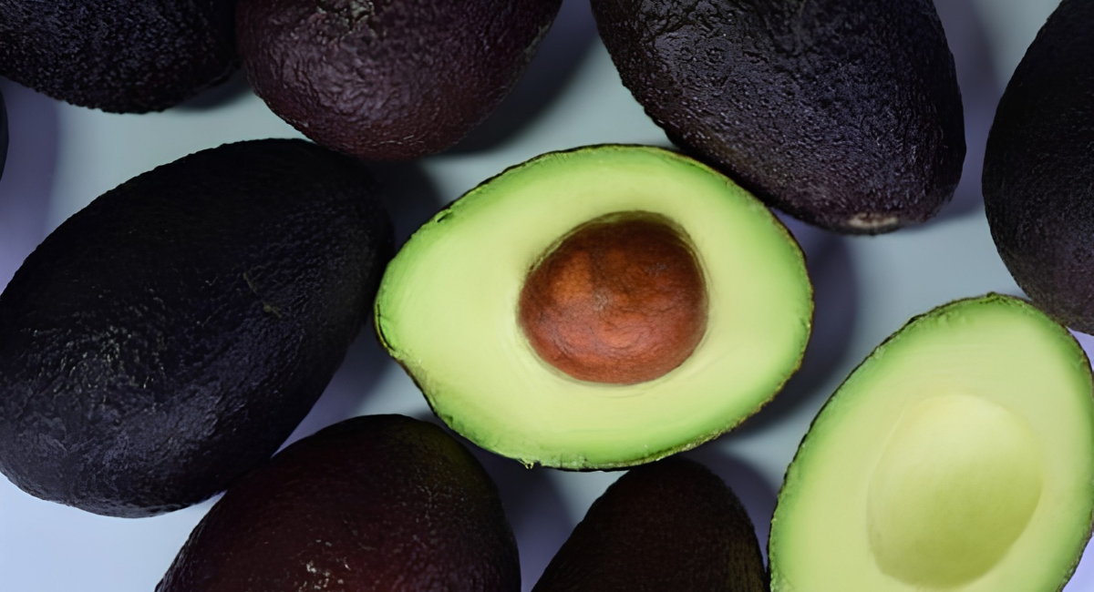 Gobierno Federal y productores acuerdan fortalecer la producción y exportación de aguacate