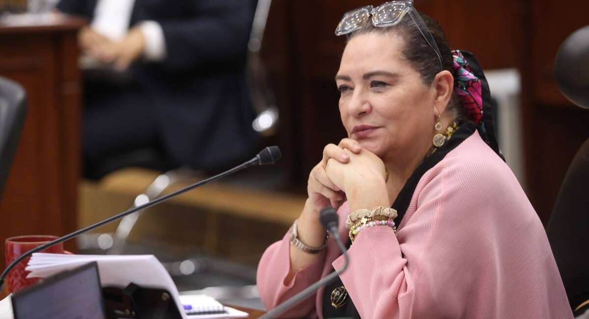 Guadalupe Taddei descarta renunciar al INE y acusa “golpeteo político”