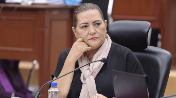 Guadalupe Taddei rechaza presiones y descarta dejar temporalmente su cargo en el INE