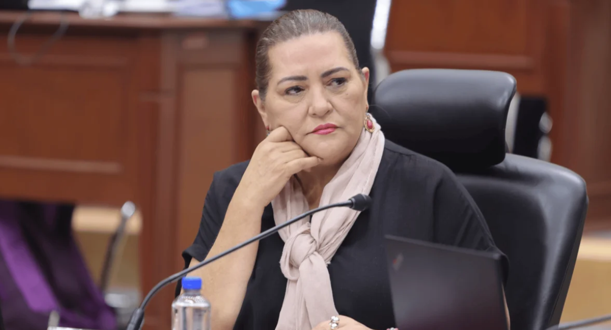 Guadalupe Taddei rechaza presiones y descarta dejar temporalmente su cargo en el INE