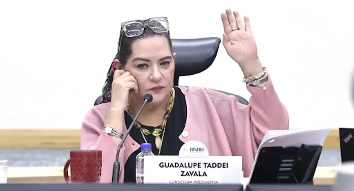 Guadalupe Taddei renunciaría al INE Comunicado fue publicado y borrado minutos después