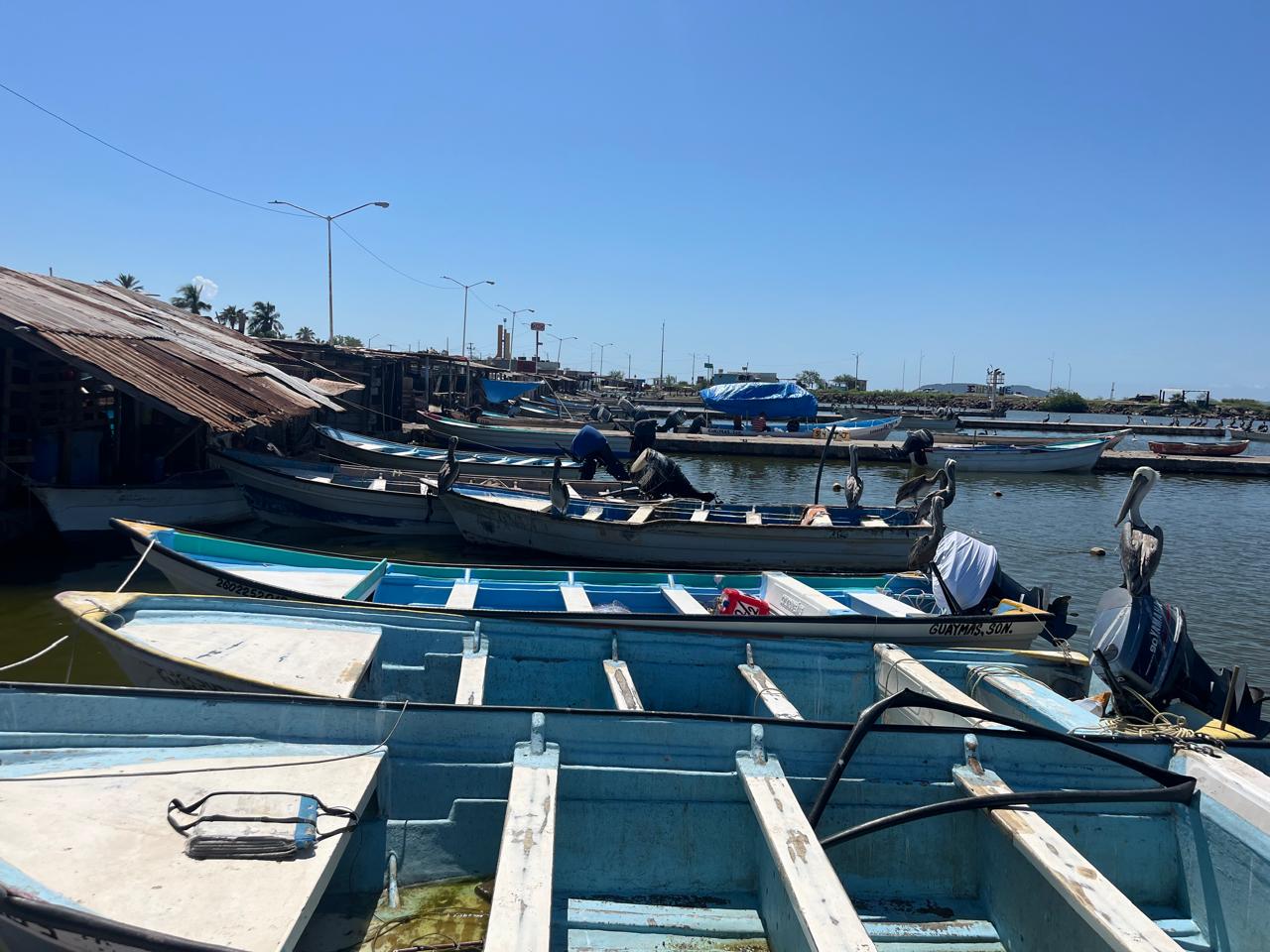 Huracán 'Polo' agrava escasez de camarón y afecta a pescadores ribereños en Guaymas y Empalme