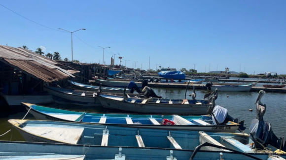 Huracán ‘Polo’ agrava escasez de camarón y afecta a pescadores ribereños en Guaymas y Empalme