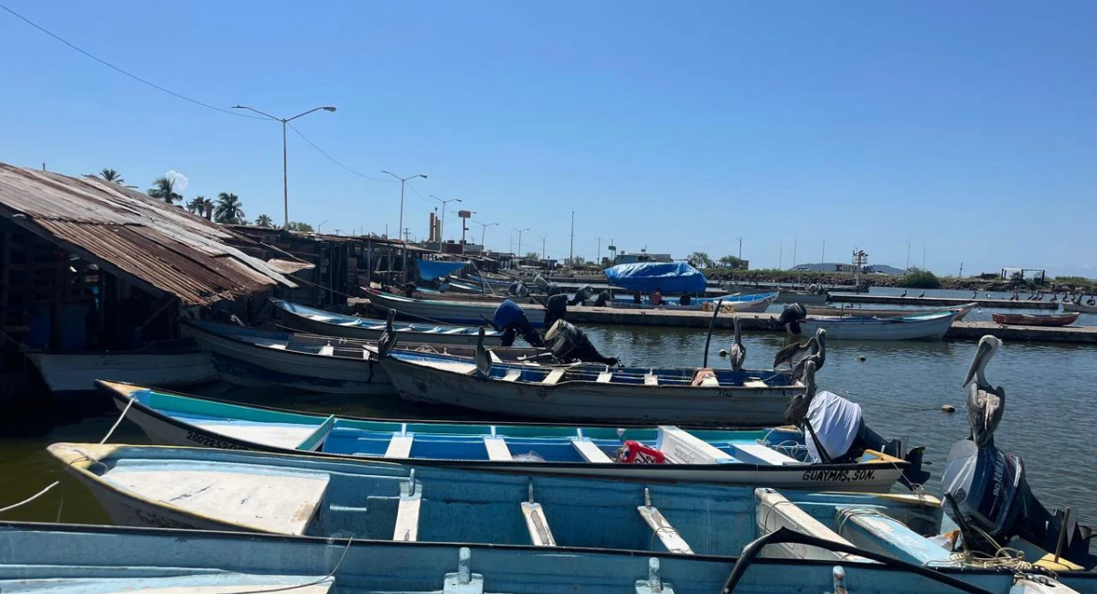 Huracán 'Polo' agrava escasez de camarón y afecta a pescadores ribereños en Guaymas y Empalme
