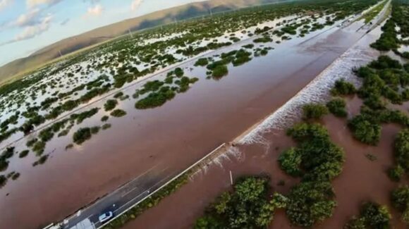 Huracán ‘Polo’ causa graves daños al sector agrícola en Guaymas y Empalme