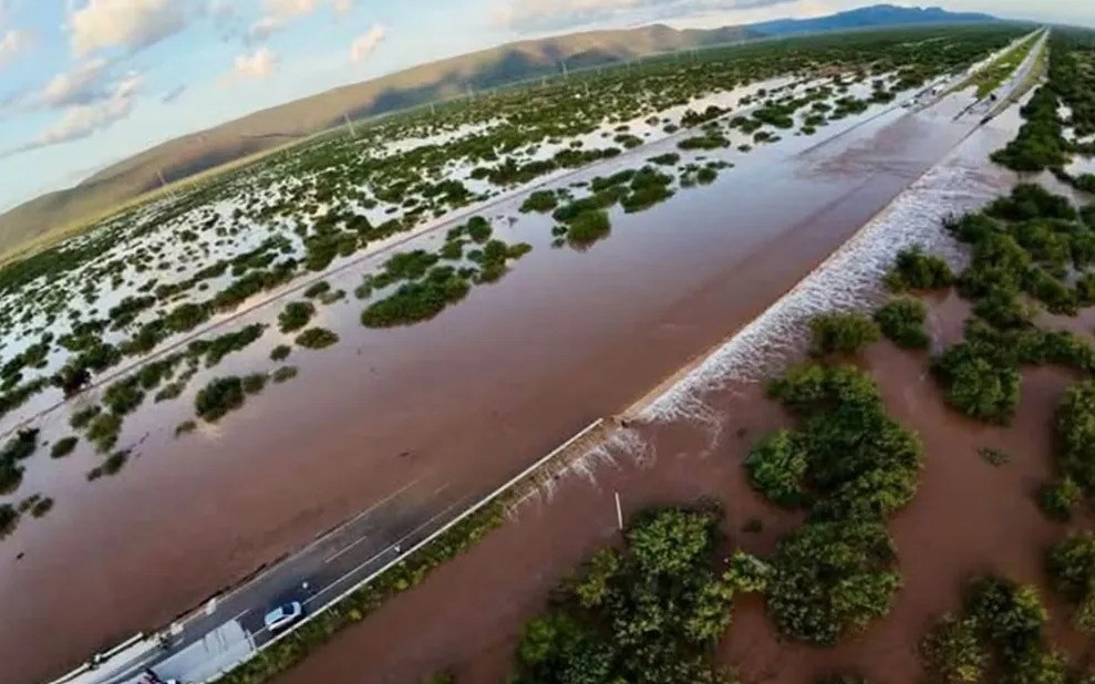 Huracán 'Polo' causa graves daños al sector agrícola en Guaymas y Empalme