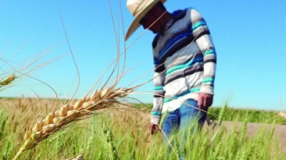 Se retrasa el inicio del ciclo agrícola en el Valle del Mayo