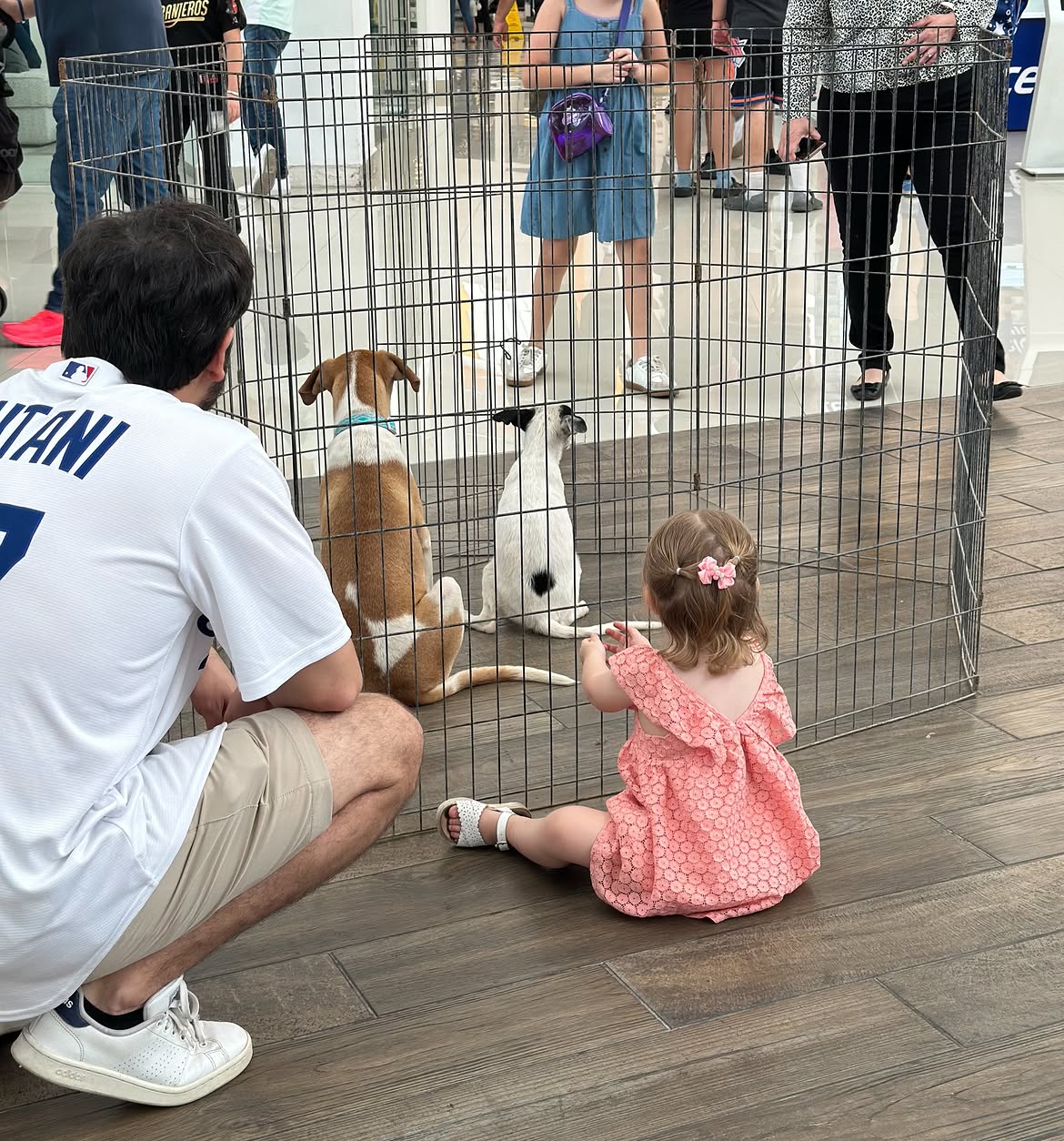 La asociación Patitas Callejeras realiza feria de adopciones en Galerías Mall