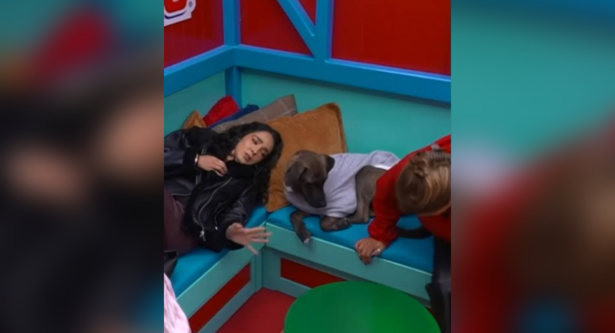 Manelyk González es señalada de maltrato animal por llamar pin... perro a Tlacoyo en La Granja VIP