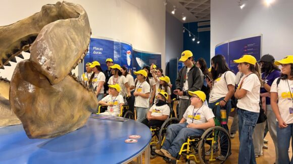 Niños del CRIT Sonora disfrutan la exposición internacional Tiburones en el Centro Cultural Musas de Hermosillo