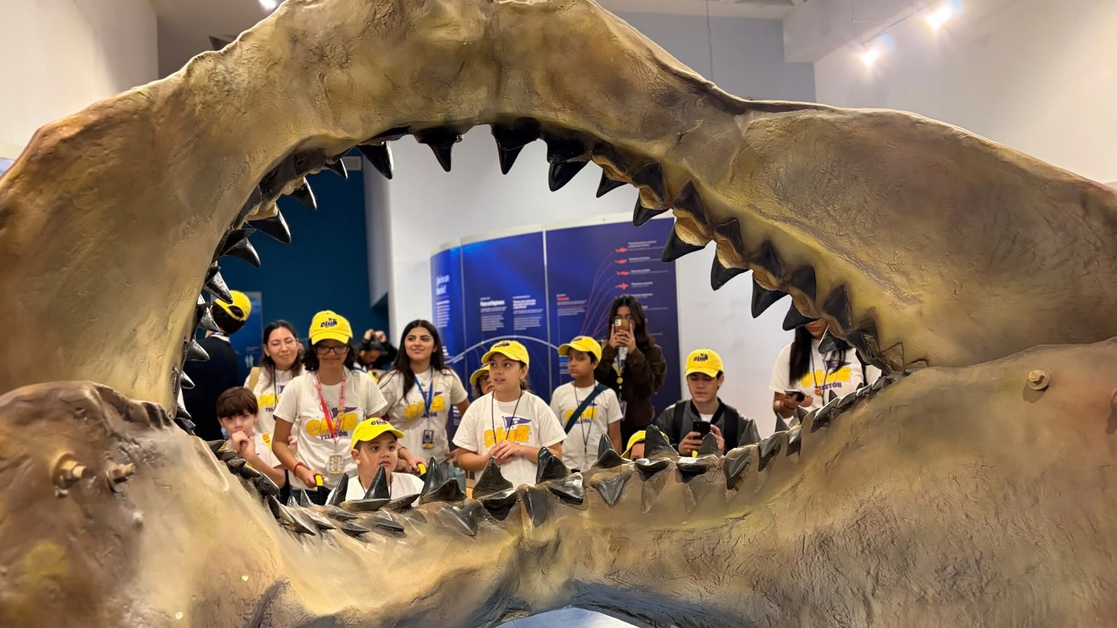 Niños del CRIT Sonora disfrutan la exposición internacional Tiburones en el Centro Cultural Musas de Hermosillo