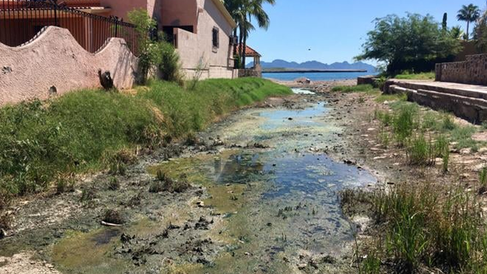 Pedirán emergencia sanitaria para Guaymas tras contingencia por el paso del huracán ‘Polo’