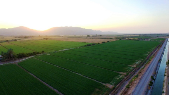 Productores buscan definir el próximo ciclo agrícola en el Valle del Mayo