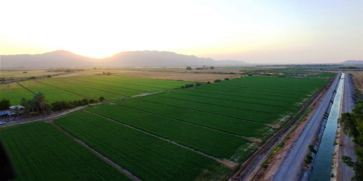 Productores buscan definir el próximo ciclo agrícola en el Valle del Mayo