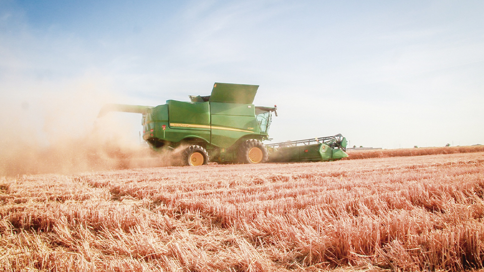 Productores de trigo en Sonora podrán comprar insumos con descuentos hasta octubre
