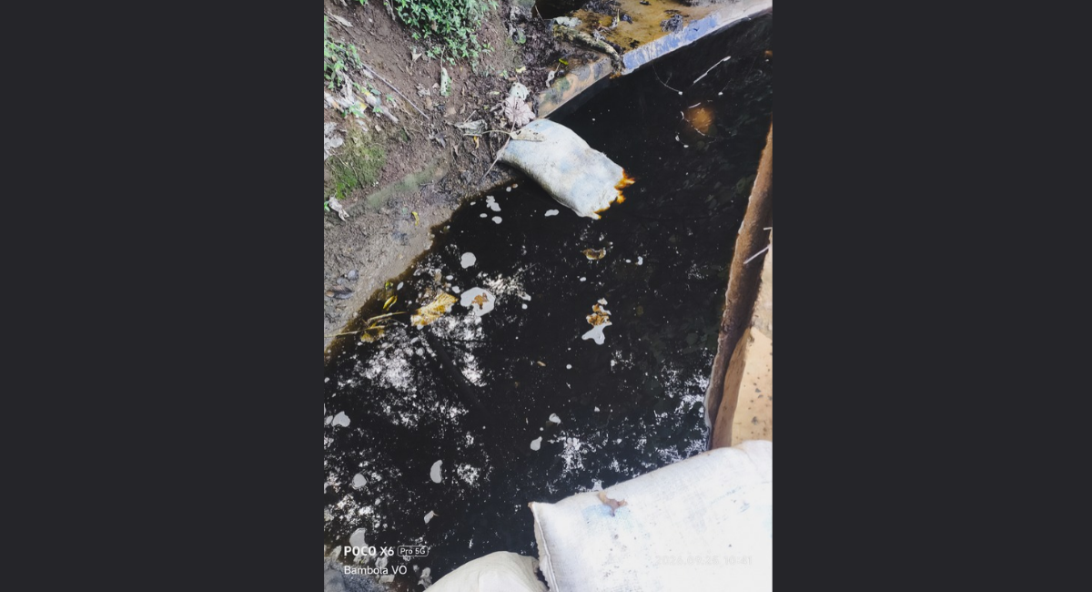 Profepa clausura lagunas de lixiviados en Xalapa por contaminación de suelo y río