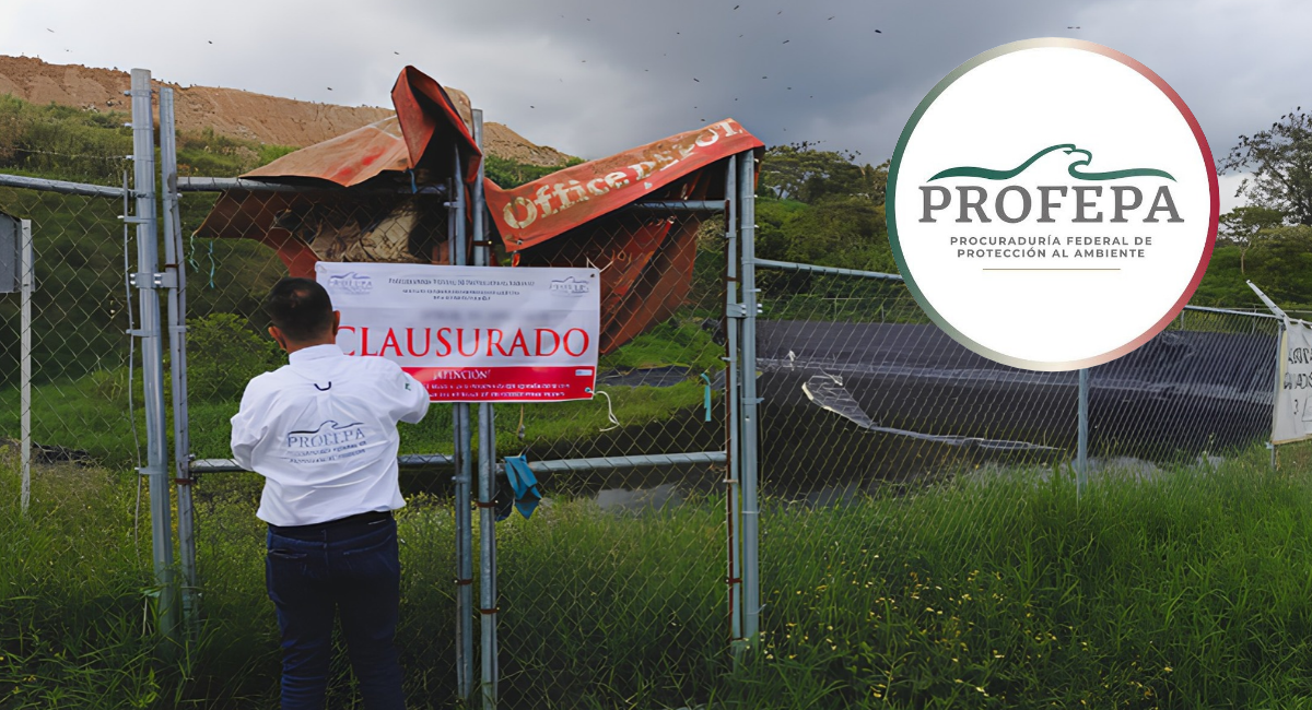 Profepa clausura lagunas de lixiviados en Xalapa por contaminación de suelo y río