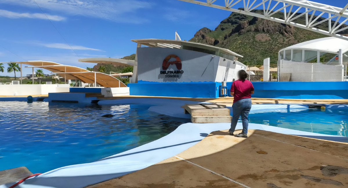 Profepa investiga la causa de muerte del delfín 'Moana' en el Delfinario de Sonora