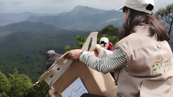 Profepa libera a 33 animales silvestres rehabilitados en el Cerro de las Navajas, Hidalgo