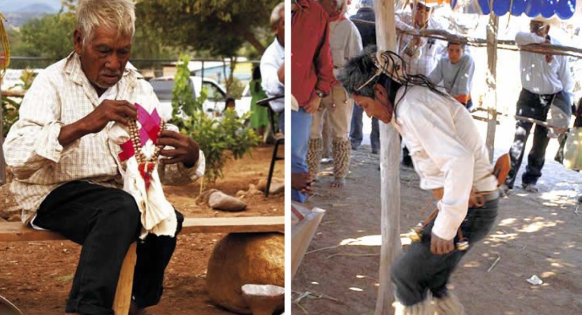 Pueblos originarios que habitan en Sonora: ¿Cuáles son sus principales tradiciones?