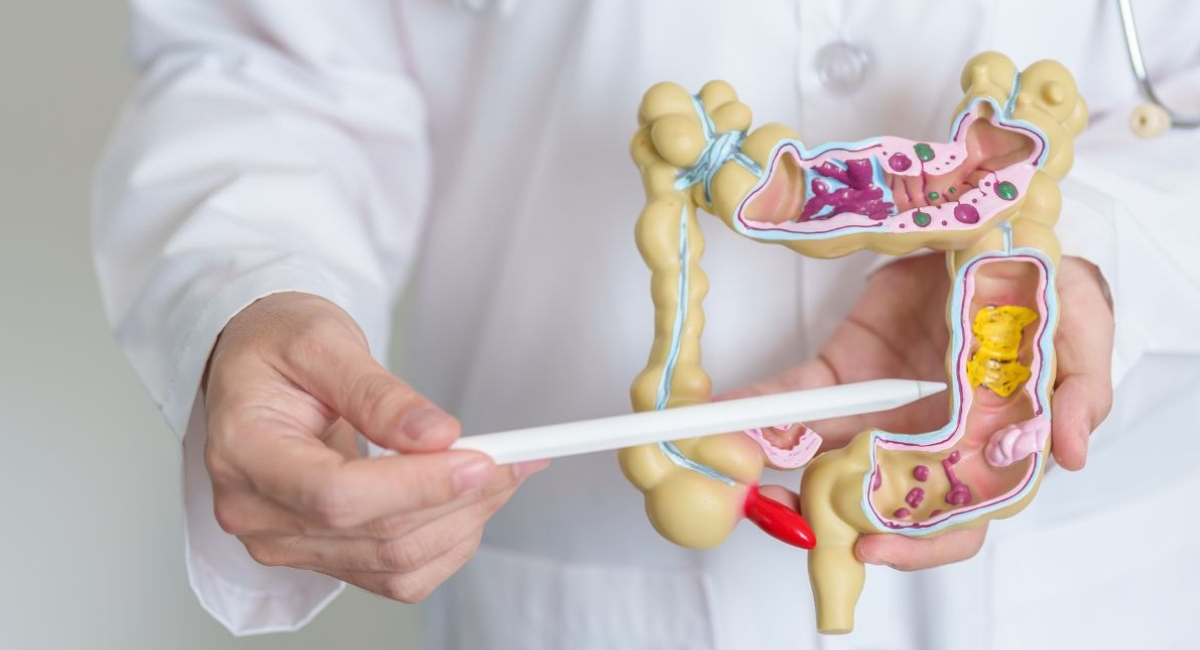 Robot inspirado en serpientes busca transformar los estudios en el intestino delgado: ¿Cómo funciona?