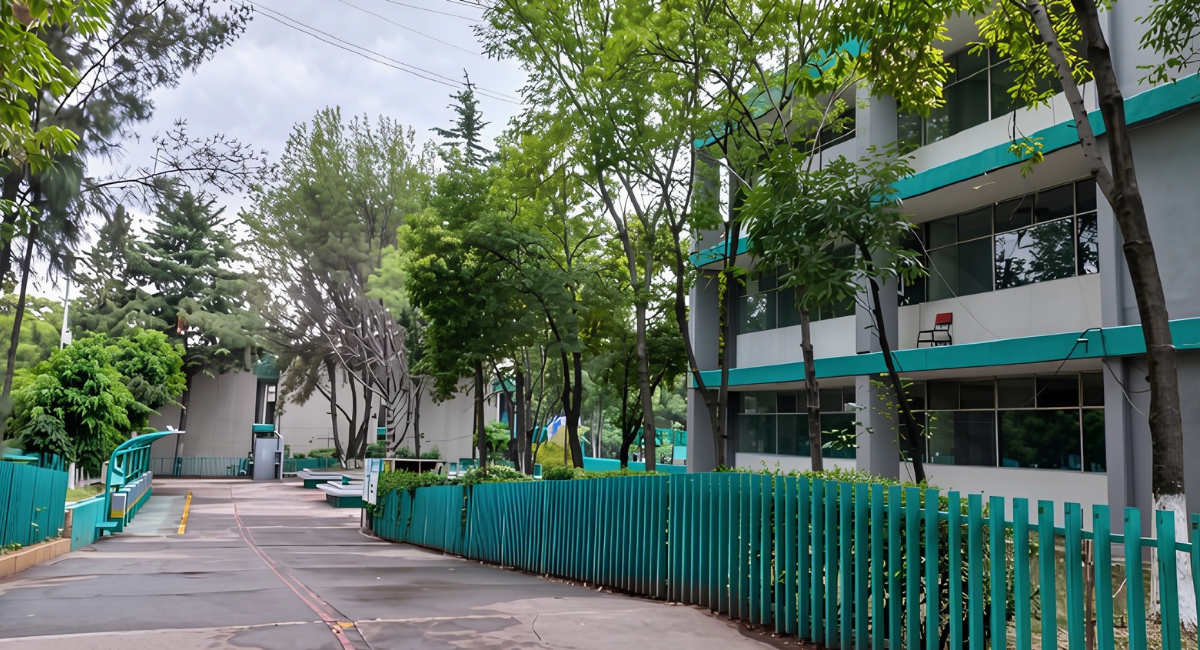 SEP condena los hechos de violencia registrados en el Colegio de Bachilleres Plantel 6 en CDMX