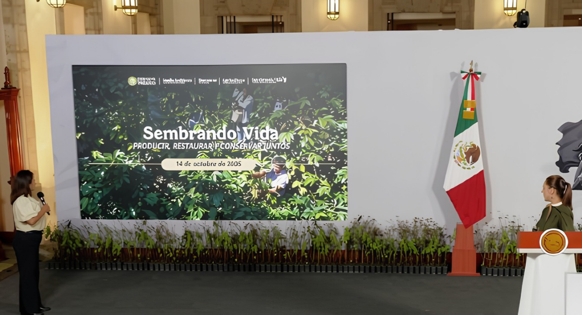 Sheinbaum confirma continuidad del programa 'Sembrando Vida' hasta el año 2030