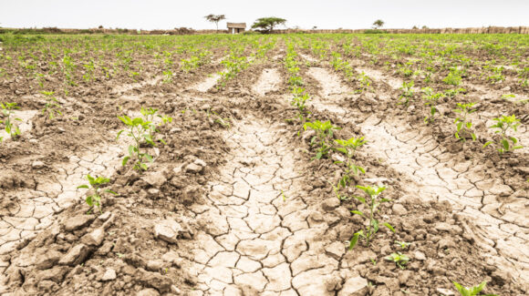 Sonora cierra el año hidrológico con déficit de 25% en presas pese a lluvias de septiembre
