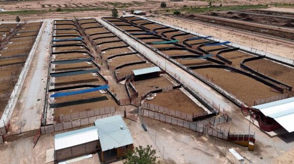 Sonora retoma la exportación de ganado a Estados Unidos a través de Nogales