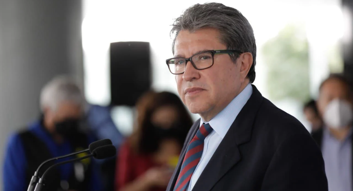 Sustitución de Guadalupe Taddei en el INE tardará hasta cinco semanas, informa Monreal