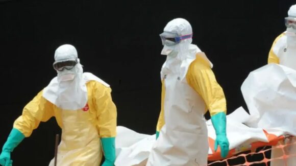 Virus Shamonda: la OMS advierte que se requieren más investigaciones para comprender cómo se transmite