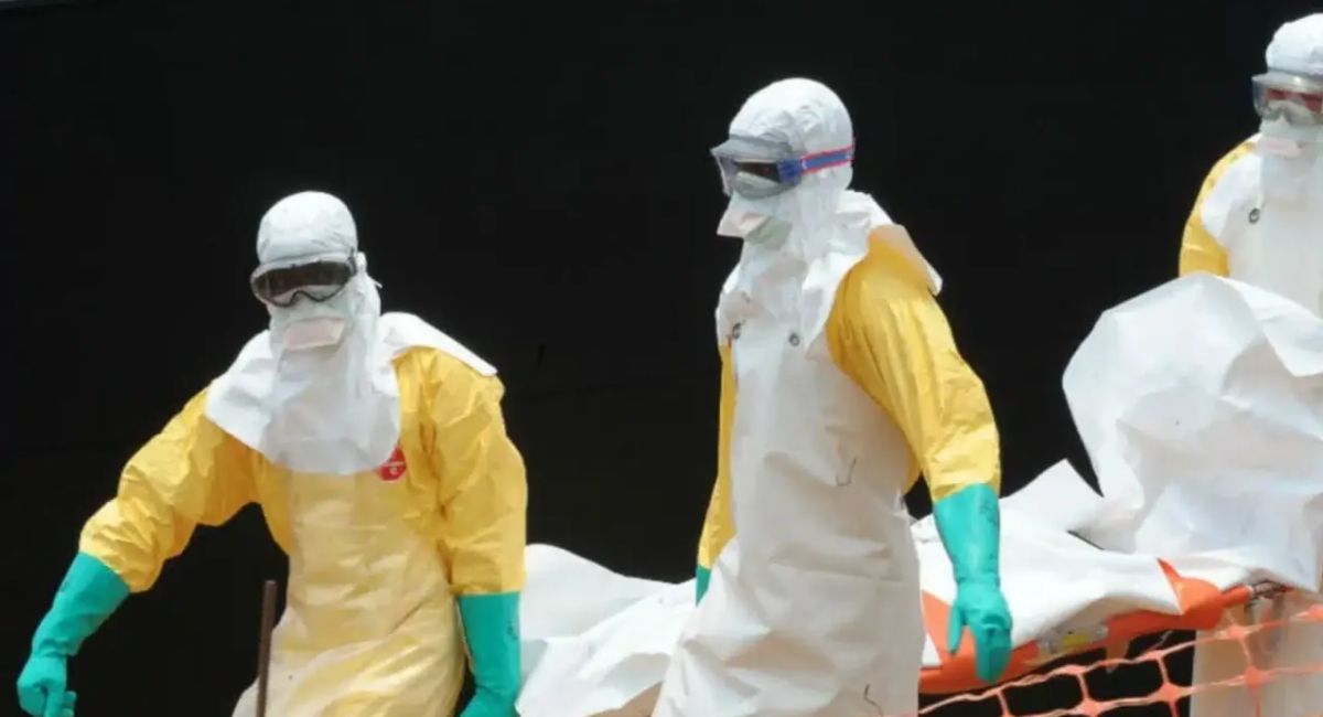 Virus Shamonda: la OMS advierte que se requieren más investigaciones para comprender cómo se transmite